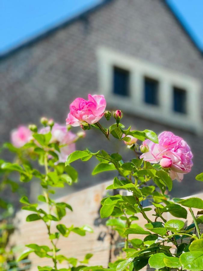 Bed and Breakfast A Little Peace And Quiet Wahlwiller Esterno foto